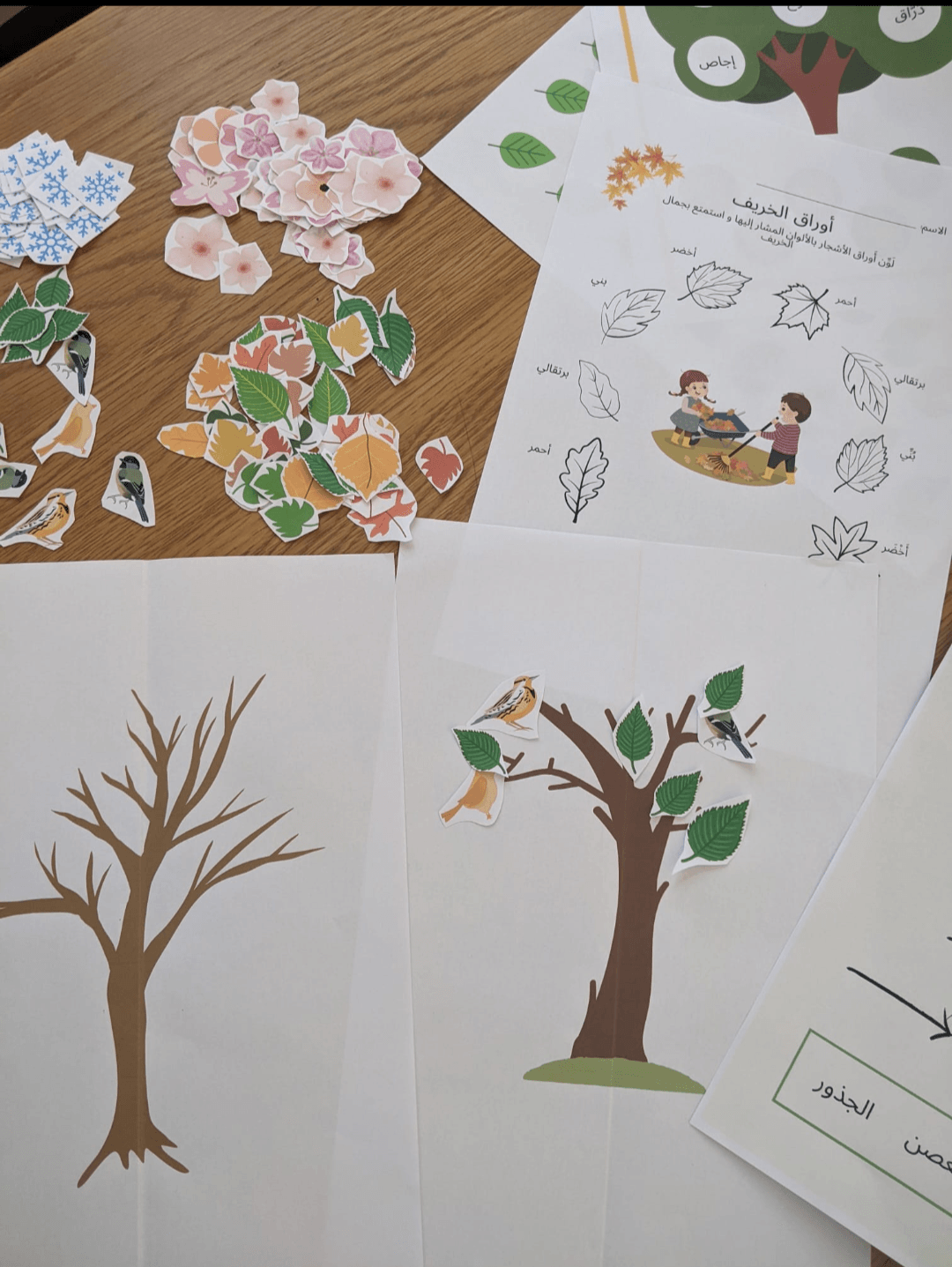 Four Seasons and Weather Arabic Resource Pack - Digital Download - حزمة أوراق عمل وأنشطة لأحوال الطقس والفصول الأربعة - للتنزيل الرقمي