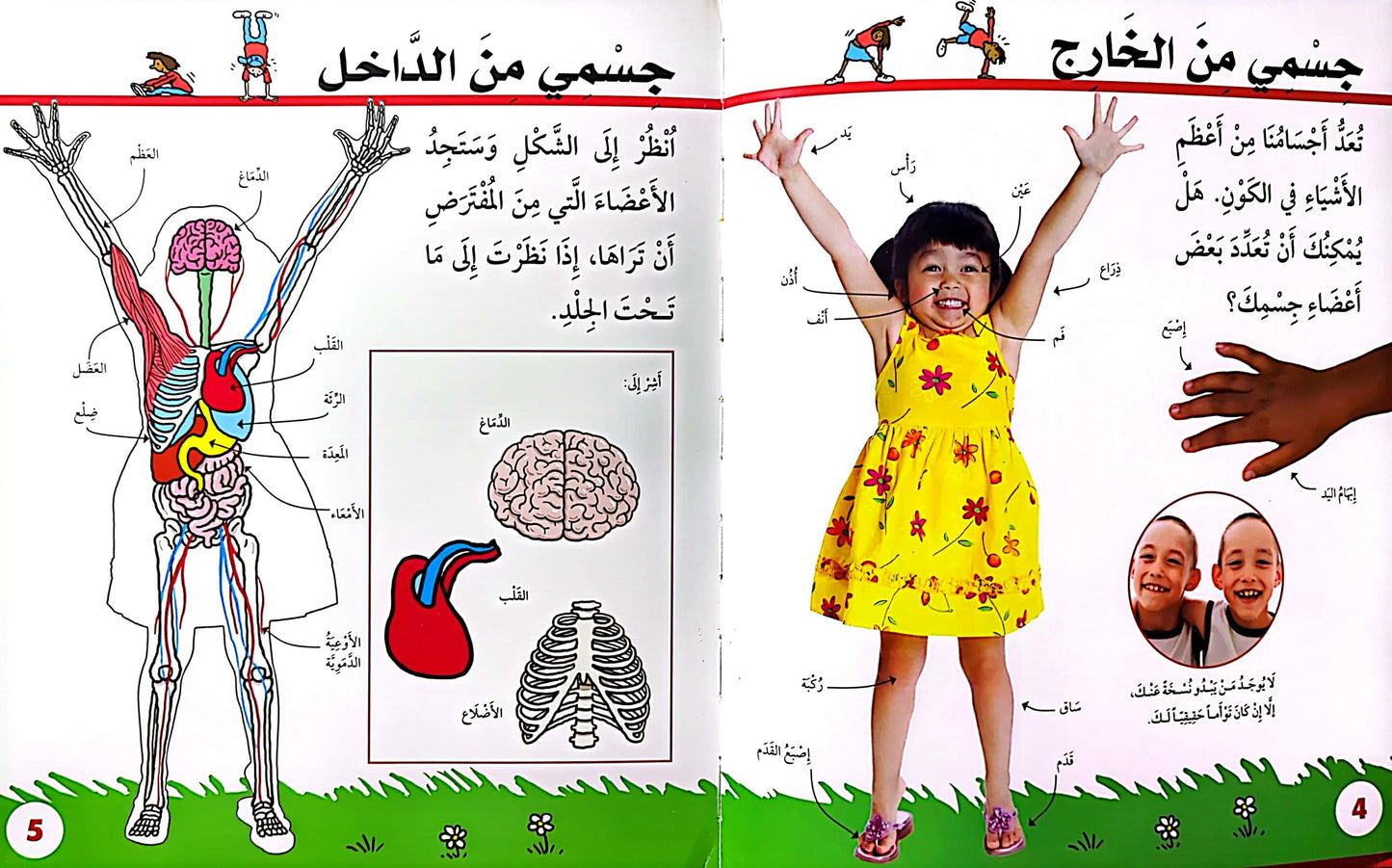 سكولاستيك - جسم الإنسان - Scholastic Discover More - My Body