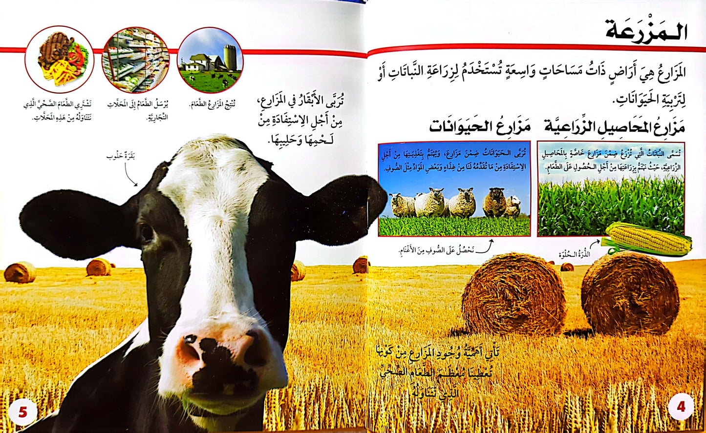 سكولاستيك - المزرعة - Scholastic Discover More - The Farm
