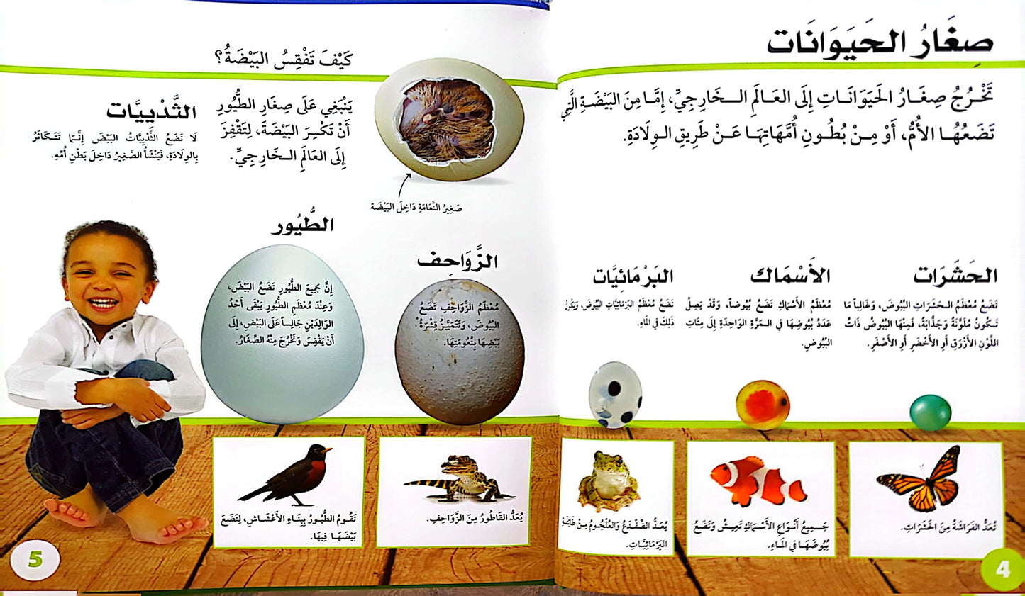 سكولاستيك - كيف أنمو - Scholastic Discover More - See Me Grow