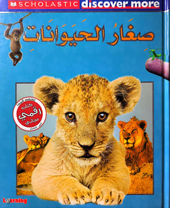 سكولاستيك - صغار الحيوانات - Scholastic Discover More Animal Babies