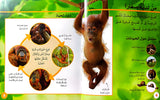 سكولاستيك - صغار الحيوانات - Scholastic Discover More Animal Babies