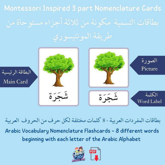 Montessori Inspired 3 Part Vocabulary Nomenclature Arabic Flashcards - Digital Printable - بطاقات التسمية مونتيسوري كلمات وصور -تنزيل رقمي - Arabic Joy